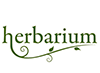 Naming y Logotipo